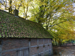 Molen van Bels